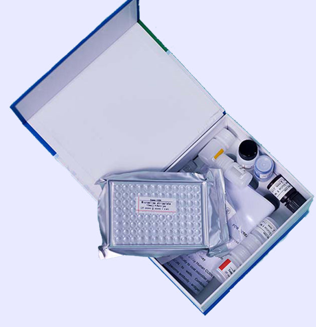 Mouse soluble platelet endothelial cell adhesion Molecule-1 (SPECAM-1 /sCD31)ELISA kit Mouse soluble platelet endothelial cell adhesion Molecule-1 (SPECAM-1 /sCD31)ELISA kit